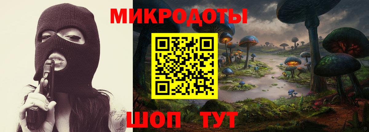 Псилоцибиновые грибы Psilocybine cubensis Калач-на-Дону