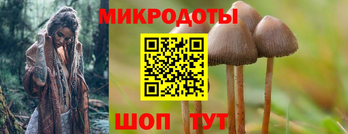 Псилоцибиновые грибы Psilocybe  Псилоцибиновые грибы прущие грибы  Калач-на-Дону  Вход с VPN 